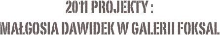 2011 projekty :
Małgosia Dawidek w Galerii Foksal